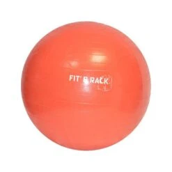 Gymball Fit & Rack 55cm [Taille S]